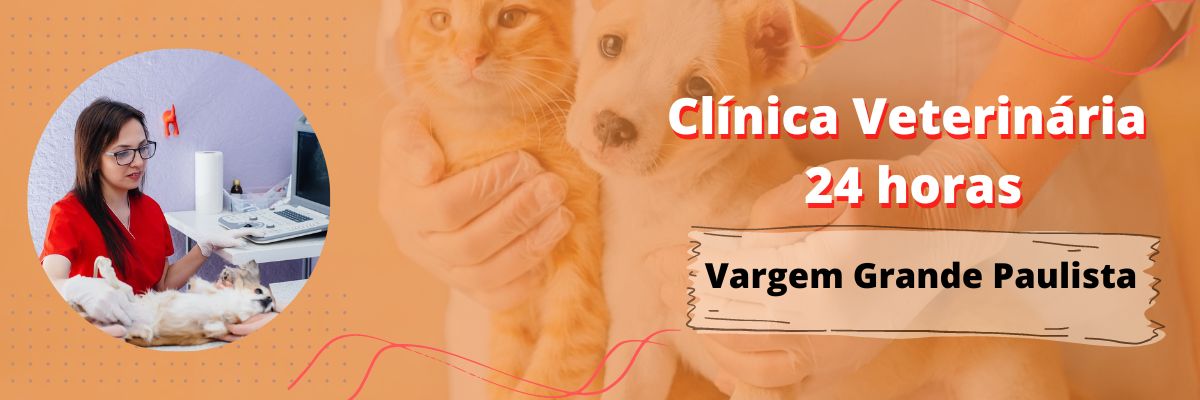 Veterinário em Vargem Grande Paulista