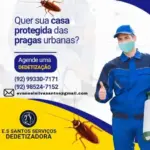 Dedetizadora em Manaus: Desratização controle de pragas, limpeza de caixa dagua e controle de pombos
