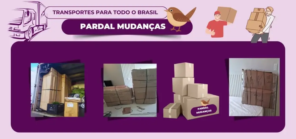 Pardal Mudanças em Cuiaba residencial e comercial