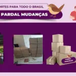 Pardal Mudanças em Cuiaba residencial e comercial