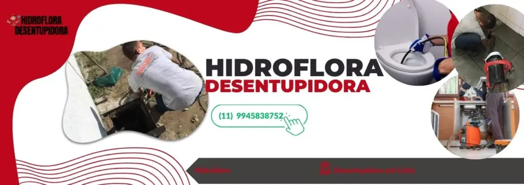 Hidroflora Desentupidora na Lapa