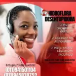 Hidroflora Desentupidora na Lapa